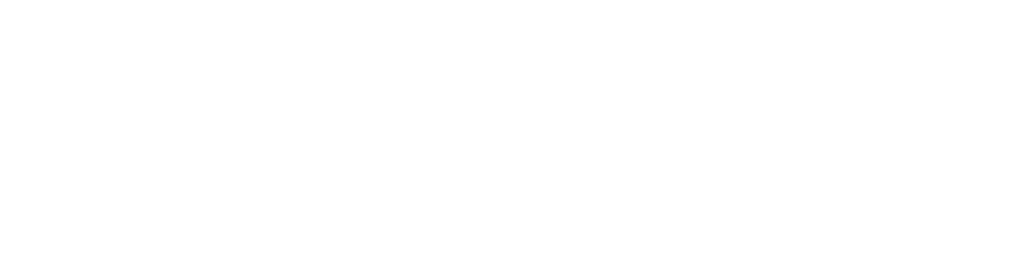 Firntec Logo Variations 2025-03